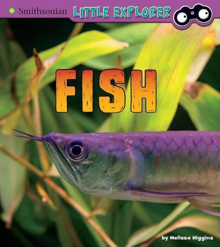 Fish: a 4D Book (Little Zoologist)