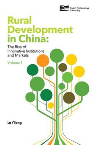 Cover image for Rural Development in China: The Rise of Innovative Institutions and Markets