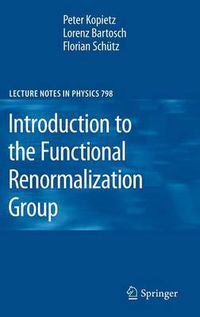 Cover image for Introduction to the Functional Renormalization Group