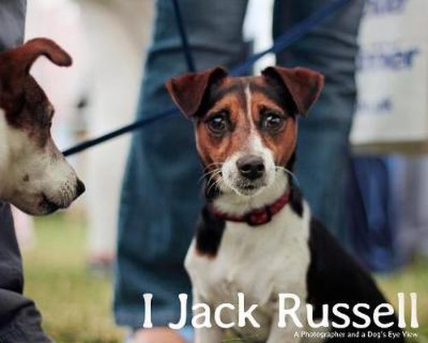 I, Jack Russell: a Photographer and a Dog's Eye View