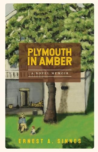 Cover image for Plymouth in Amber