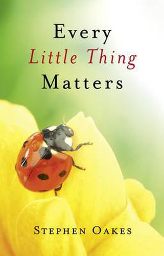 Cover image for Every Little Thing Matters