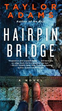 Cover image for Hairpin Bridge