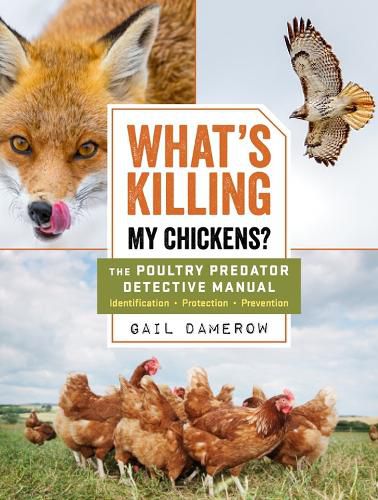 Cover image for What's Killing My Chickens?: The Poultry Predator Detective Manual