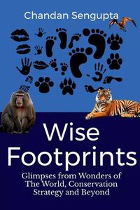 Cover image for Wise Footprints