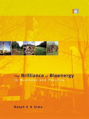 Cover image for The Brilliance of Bioenergy: In Business and In Practice