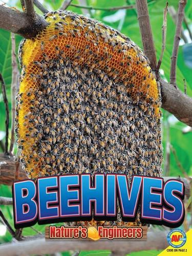 Cover image for Beehives