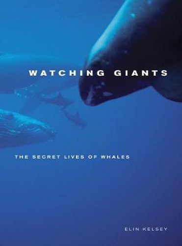 Cover image for Watching Giants: The Secret Lives of Whales