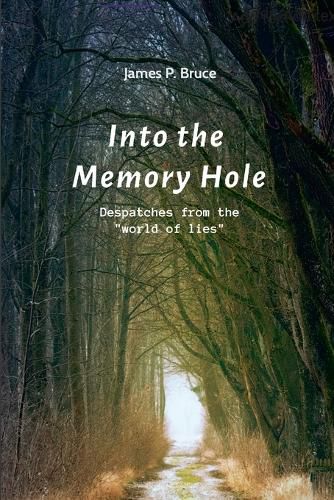 Cover image for Into the Memory Hole