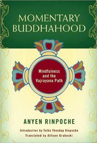 Cover image for Momentary Buddhahood: Mindfulness and the Vajrayana Path