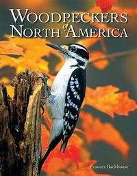 Cover image for Woodpeckers of North America