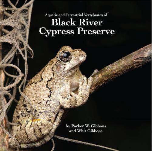 Cover image for Acquatic and Terrestrial Vertebrates of Black River Cypress Preserve