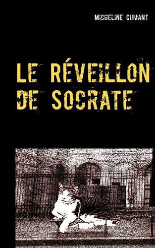 Le Reveillon de Socrate: Le detective ... c'est le chat !