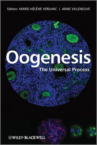 Cover image for Oogenesis: The Universal Process