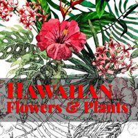 Cover image for Hawaiian Flowers & Plants