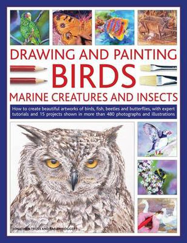 Cover image for Drawing and Painting Birds, Marine Creatures and Insects