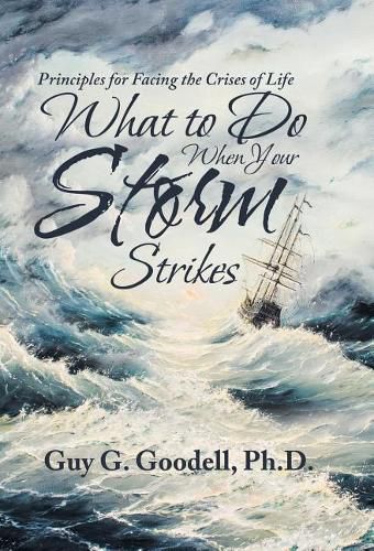 Cover image for What to Do When Your Storm Strikes: Principles for Facing the Crises of Life