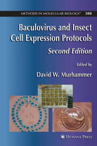 Cover image for Baculovirus and Insect Cell Expression Protocols