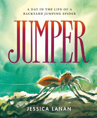 Cover image for Jumper: A Day in the Life of a Backyard Jumping Spider