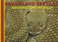 Cover image for Snakes and Reptiles Around the World