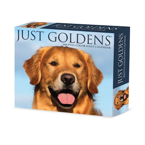 Cover image for Goldens 2026 5.4 X 6.2 Box Calendar