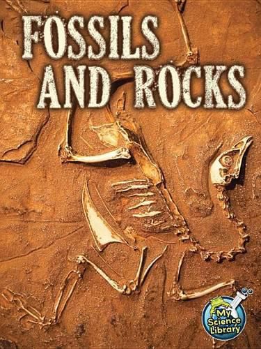 Cover image for Fossils and Rocks