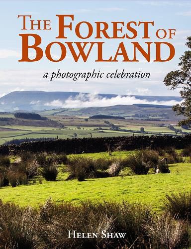 Cover image for The Forest of Bowland