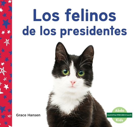 Cover image for Los Felinos de Los Presidentes