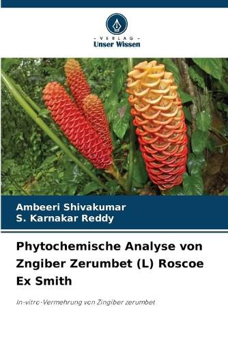 Cover image for Phytochemische Analyse von Zngiber Zerumbet (L) Roscoe Ex Smith
