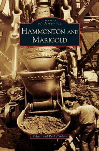 Hammonton and Marigold