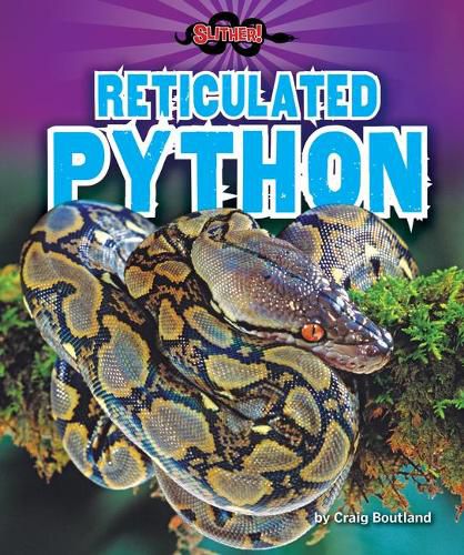 Reticulated Python