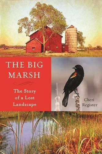 Cover image for The Big Marsh: The Story of a Lost Landscape