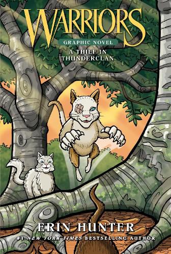 Cover image for Warriors