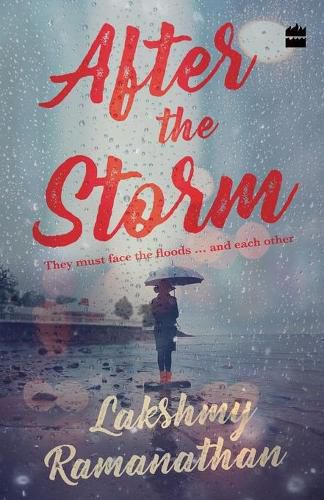 Cover image for After the Storm