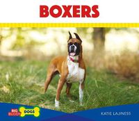 Cover image for Boxers