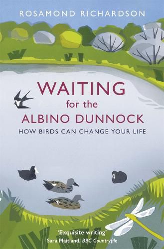 Cover image for Waiting for the Albino Dunnock: How birds can change your life