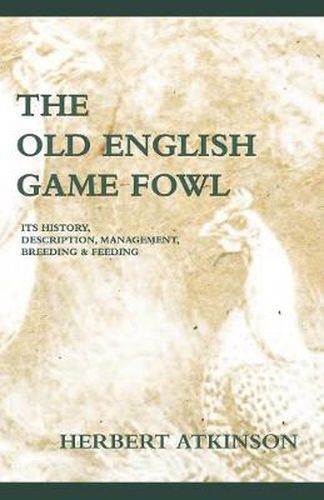 Cover image for The Old English Game Fowl - Its History, Description, Management, Breeding and Feeding