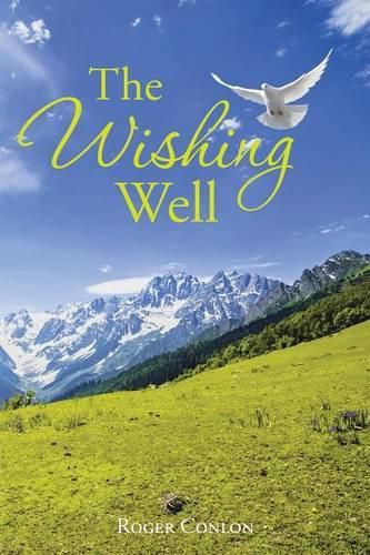 Cover image for The Wishing Well