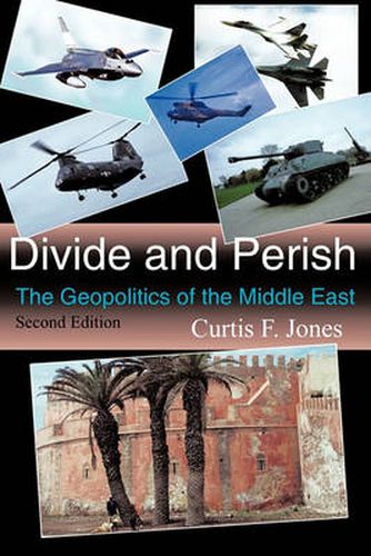 Cover image for Divide and Perish