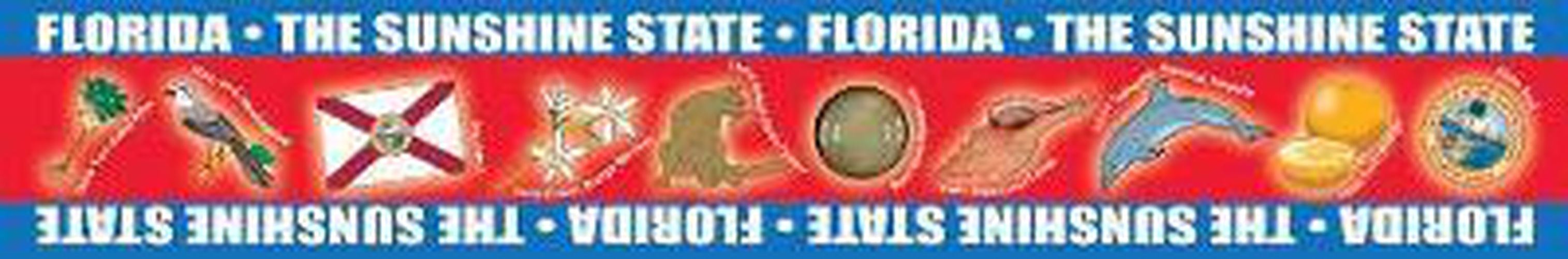 Cover image for Florida Borders for Bulletin Boards