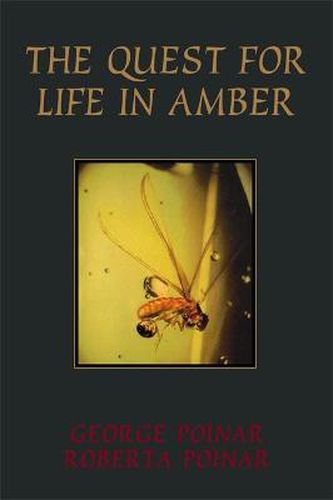 Cover image for The Quest for Life in Amber