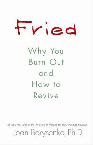 Cover image for Fried: Why You Burn Out and How to Revive