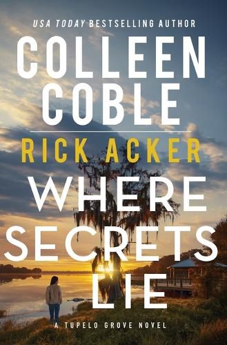 Cover image for Where Secrets Lie
