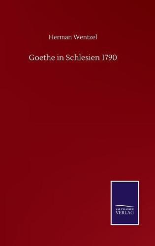 Cover image for Goethe in Schlesien 1790