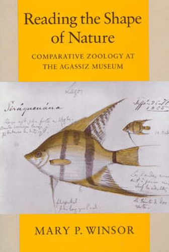 Cover image for Reading the Shape of Nature: Comparative Zoology at the Agassiz Museum