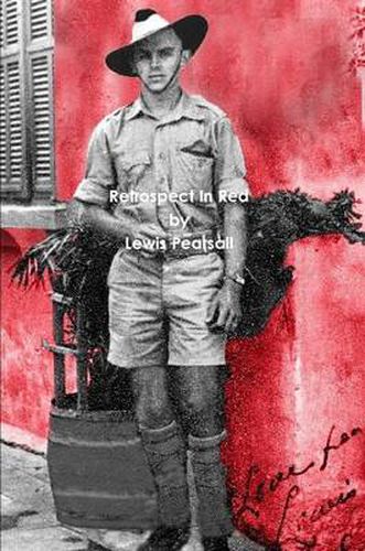 Cover image for Retrospect In Red