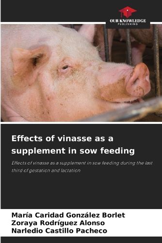 Cover image for Effects of vinasse as a supplement in sow feeding
