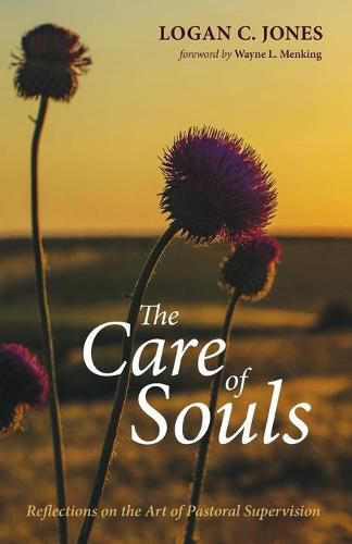 Cover image for The Care of Souls: Reflections on the Art of Pastoral Supervision