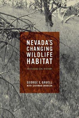 Cover image for Nevada's Changing Wildlife Habitat: An Ecological History