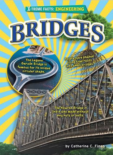 Cover image for Bridges